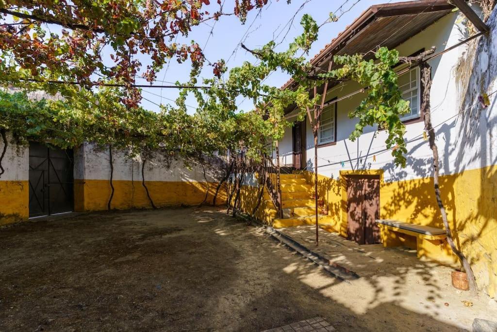 Quinta De Villa Franca - Douro Peso da Régua Exterior foto