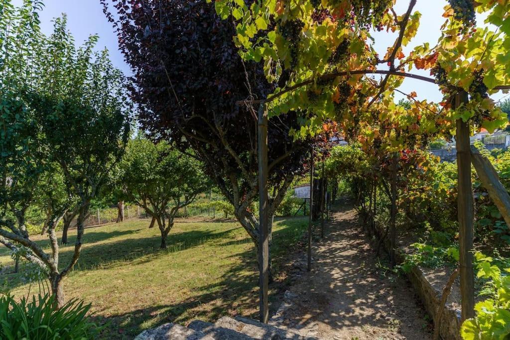 Quinta De Villa Franca - Douro Peso da Régua Exterior foto