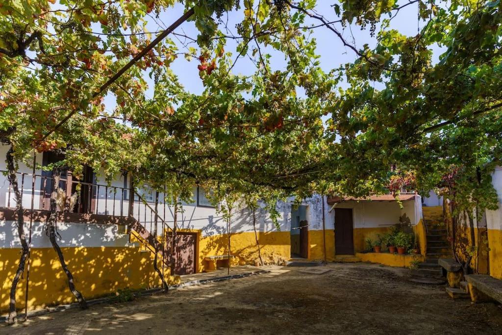 Quinta De Villa Franca - Douro Peso da Régua Exterior foto